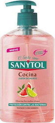 Sanytol Cocina Cream Soap 250ml