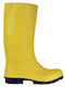 Cofra Castor Arbeitssicherheitsstiefel Gelb