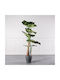 Arbore Artificial de Exterior Alocasia Green 170cm Supergreens