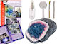 Diamond Mine Excavation Educational Kit