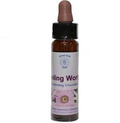 Self-Esteem Feeling Worthy 10ml Crystal Herbs