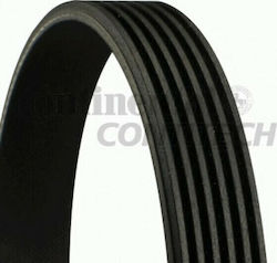 Transmission Belt Audi A4 8k2 B8 Contitech 6pk1264