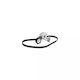 Set curea de transmisie Vw Eos 1f7 1f8 Contitech 6pk1045k2