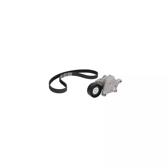 Set Transmission Belt Citroen Berlingo Mf Contitech 6pk1705k2