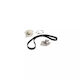 Water Pump Set + Timing Belt Nissan Primera Combi Wp12 Contitech Ct1064wp1