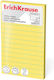 Αυτοκόλλητες Σημειώσεις Erichkrause Γραμμές 125x75mm 100φ Yellow 61722
