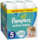 Pampers Πάνες με Αυτοκόλλητο Active Baby Monthl...