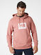 Sweatshirt Pink