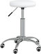 vidaXL Medical Stool White 3085692