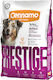 Cennamo Prestige Hund Erwachsene Büffel 2kg