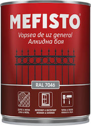 Vopsea Metal Lemn Mefisto Ral 9005 Culoare Neagră 650ml Finisaj Satin Protecție Decorativă Suprafețe Metal Lemn Spații Exterioare Interioare