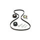 Opel Signum Dayco Ktb361 Distribution Kit