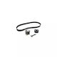 Ford S-max Wa6 Dayco Ktb715 Distribution Kit