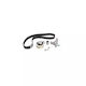 Vw Lupo 6x1 6e1 Dayco Ktb549 Distribution Kit