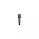 Induction Coil Kia Carens Iii Un Beru Zs475
