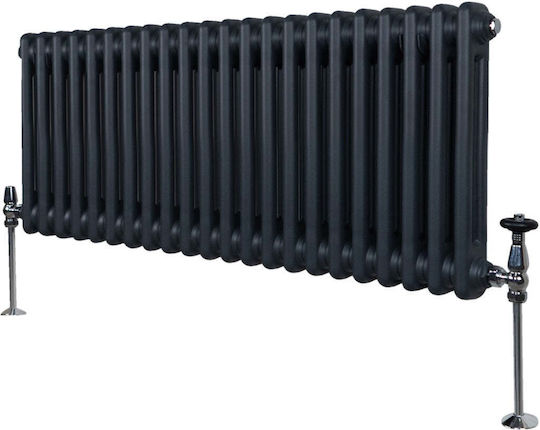 Classic Akan Radiator Body Two Columns II/300 22 Slices Gray