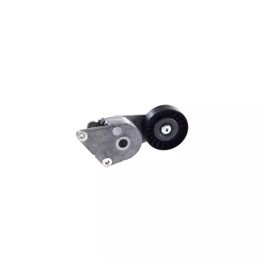 Citroen Zx N2 Belt Tensioner Dayco Apv1001