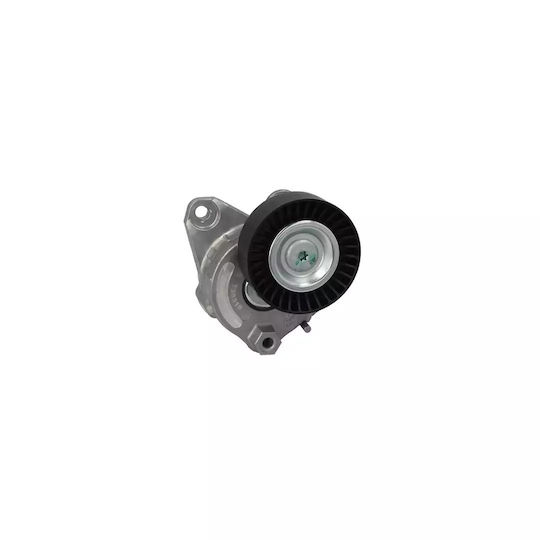 Tensiunea curelei Mercedes-benz E-class W211 Dayco Apv2788