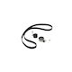 Timing Belt Kit Lancia Musa 350 Dayco Ktb317