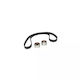 Kit distribuție Mazda 323 F Vi Bj Dayco Ktb500