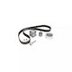 Zahnriemen-Kit Mitsubishi Outlander II CW W Dayco KTB441