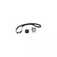 Timing Belt Kit Alfa Romeo 156 Sportwagon 932 Dayco Ktb315