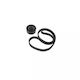 Set curea de transmisie Dacia Sandero Dayco Kpv194