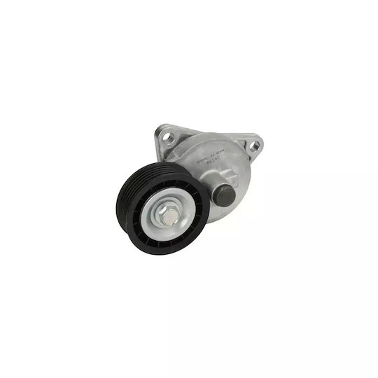 Ford Tourneo Connect Dayco Apv2313 Belt Tensioner
