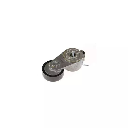 Spannrolle Lancia Musa 350 Dayco Apv1079