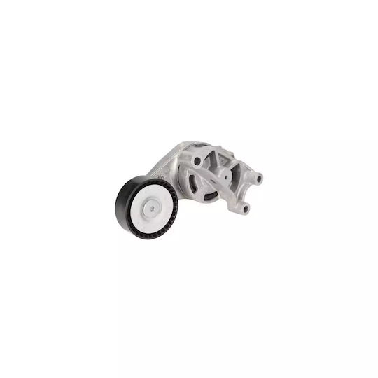 Spannrolle Audi Tt 8j3 Dayco Apv2530