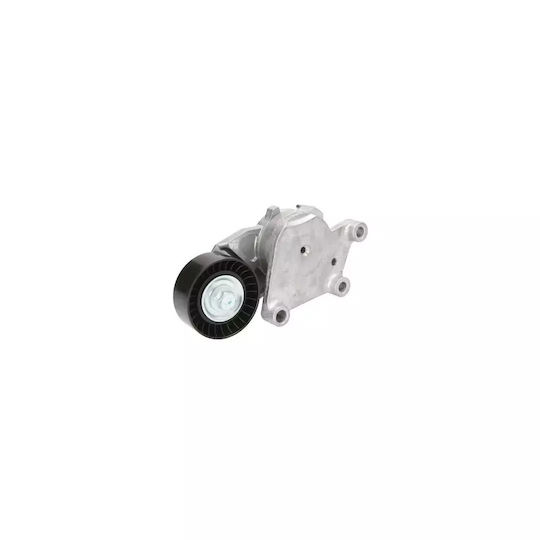 Tensiunea curelei Ford Tourneo Connect Grand Tourneo Connect Kombi Dayco Apv2466