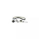 Water Pump Set + Timing Belt Seat Arosa 6h Dayco Ktbwp4150