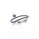 Water Pump Set + Timing Belt Skoda Superb 3u4 Dayco Ktbwp3451
