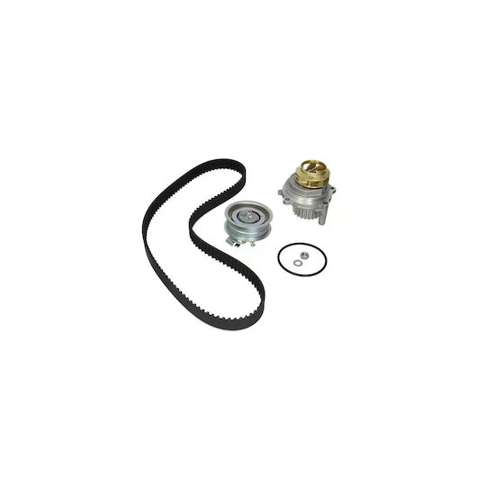 Water Pump + Timing Belt Kit Seat Altea Xl 5p5 5p8 Dayco Ktbwp2530