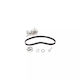 Water Pump Set + Timing Belt Renault Twingo I C06 Dayco Ktbwp3211