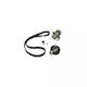 Water Pump Set + Timing Belt Vw Golf Iv 1j1 Dayco Ktbwp4831