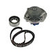 Water Pump Set + Timing Belt Fiat Panda 141a Dayco Ktbwp3040