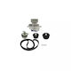 Wasserpumpenset + Zahnriemen Opel Zafira B A05 Dayco Ktbwp3610