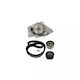Water Pump Set + Timing Belt Peugeot Partner Body 5 Dayco Ktbwp1960