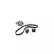 Water Pump Set + Timing Belt Ford Kuga I Dayco Ktbwp4550