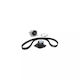 Water Pump Set + Timing Belt Renault Grand Scénic Iii Jz0 1 Dayco Ktbwp7830