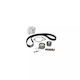 Water Pump Set + Timing Belt Volvo S60 Ii Dayco Ktbwp5920