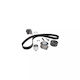 Water Pump Set + Timing Belt Vw Passat Variant 3c5 Dayco Ktbwp4860