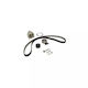 Wasserpumpenset + Zahnriemen Alfa Romeo Giulietta 940 Dayco Ktbwp7590
