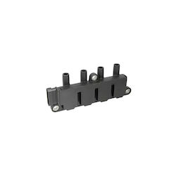 Induction Coil Lancia Ypsilon 843 Beru Zs079