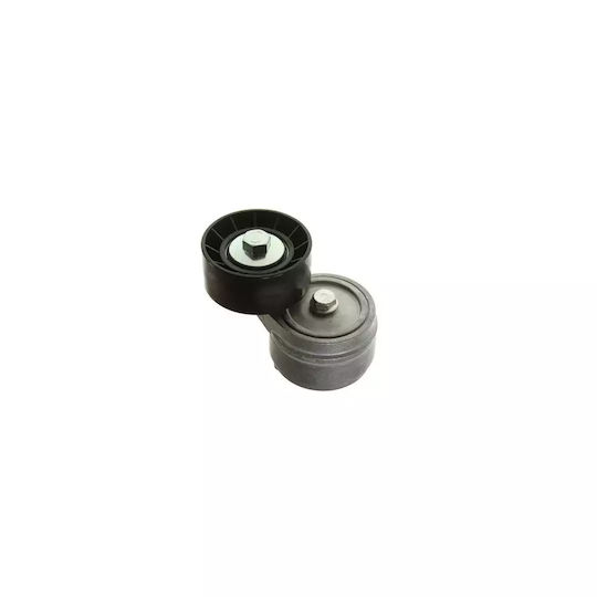 Keilrippenriemenspanner Lancia Musa 350 Dayco Apv1077