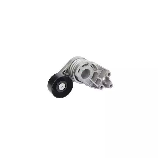 Tensiunea curelei Audi A2 8z0 Dayco Apv2555