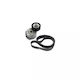Set Keilriemen Peugeot 3008 Dayco Kpv264
