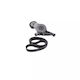 Set curea de transmisie Seat Toledo III 5P2 Dayco KPV250