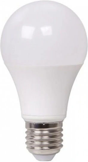 LED Bulb 5W for Socket E27 Cool White